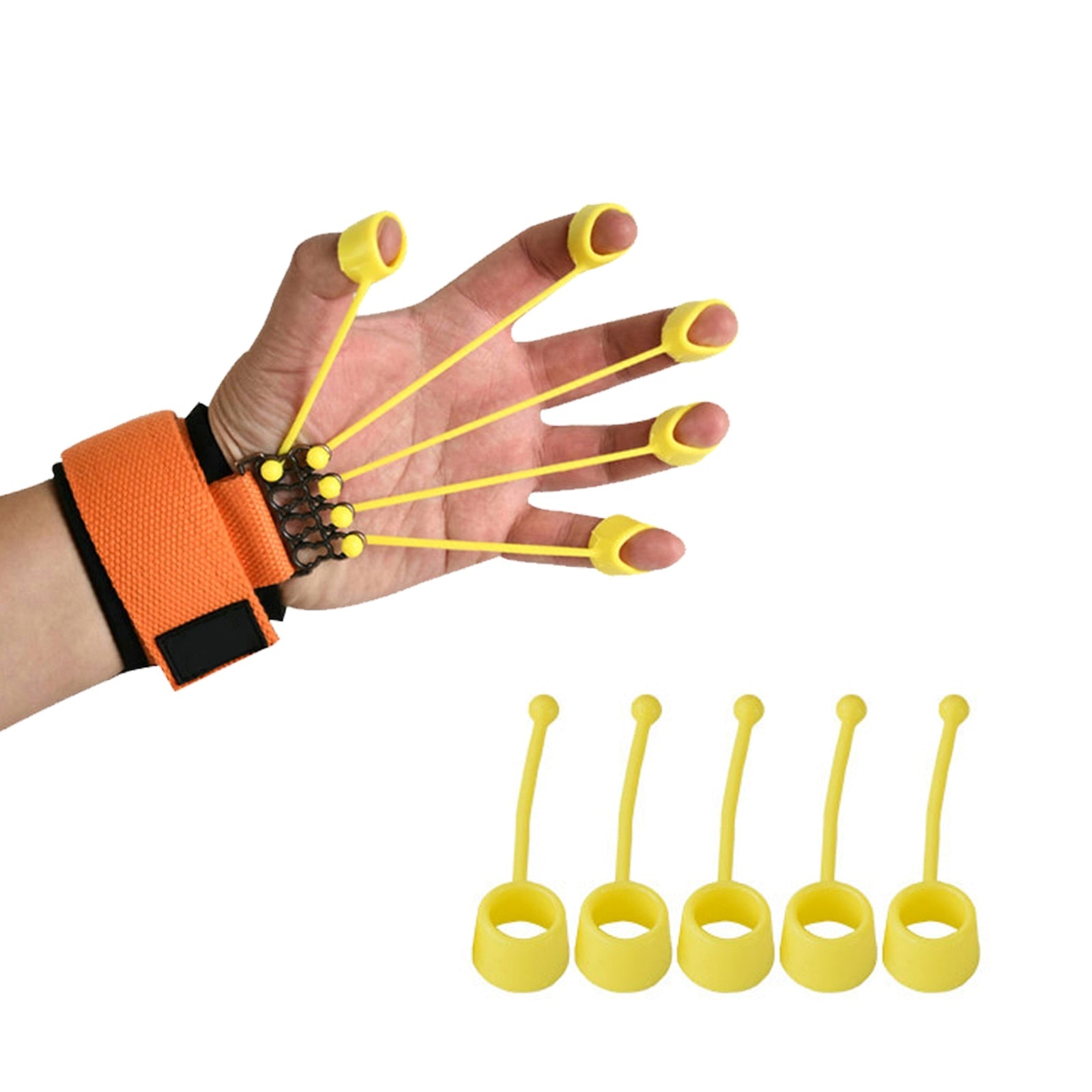 Forearm Strength Muscle Recovery